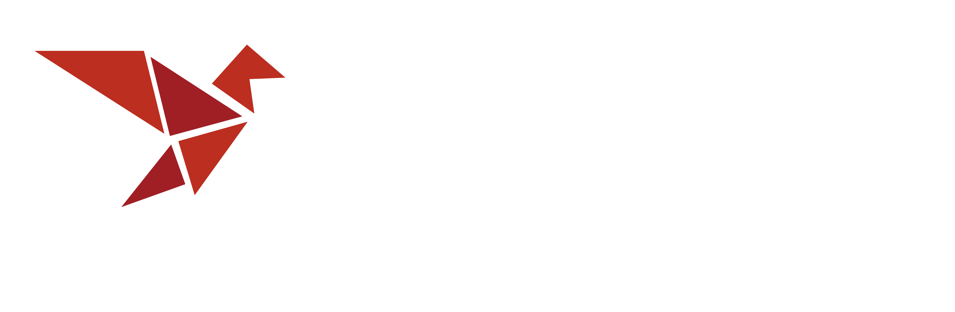 一飛株式会社 ONEFLY イッピカブシキガイシャ